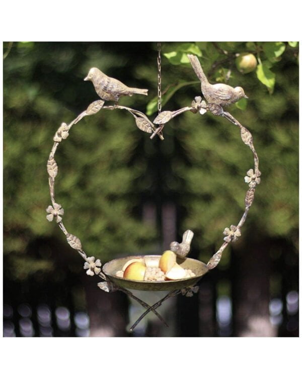 Bird Feeder