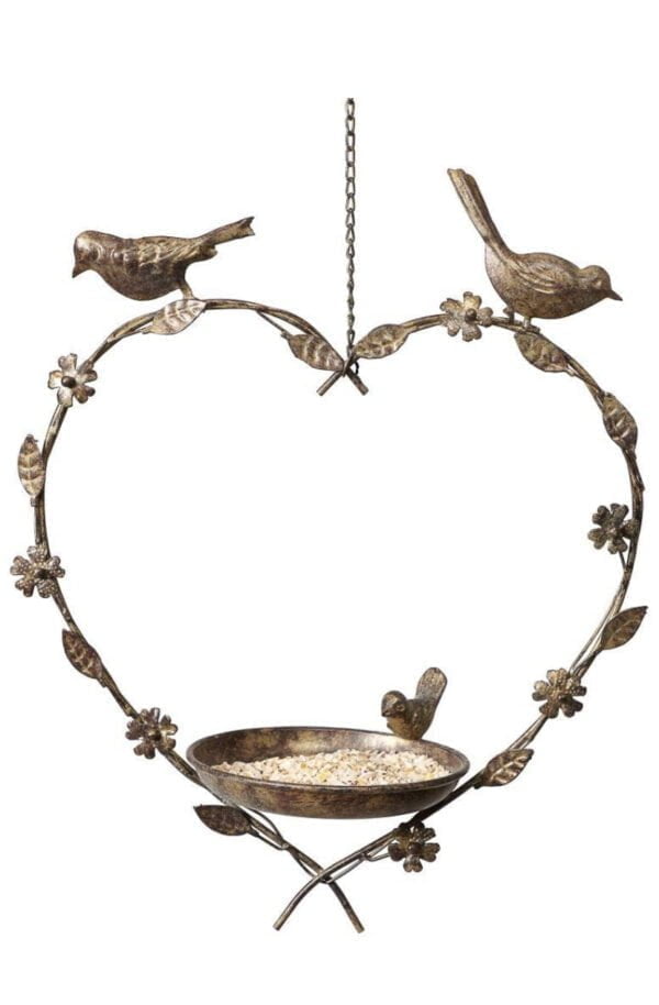 Bird Feeder