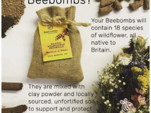 What are Beebombs