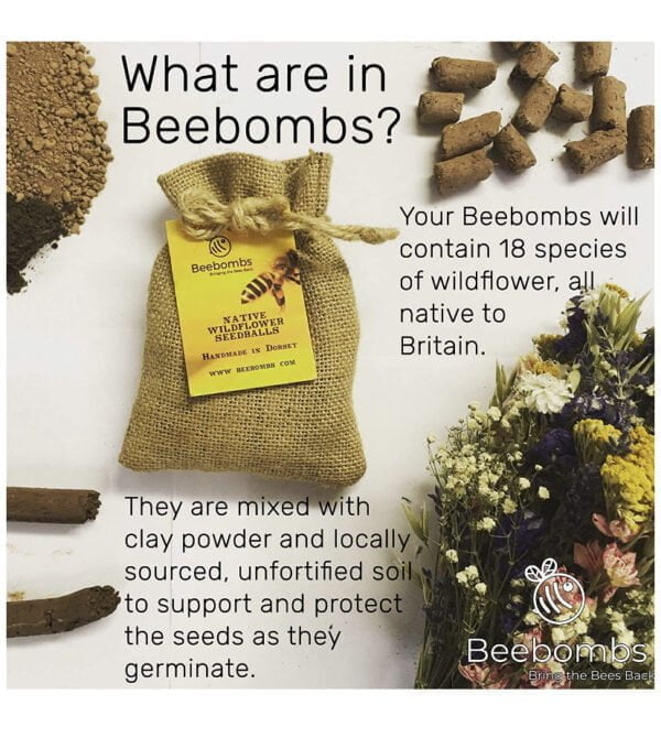 What are Beebombs