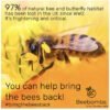 Save our bees