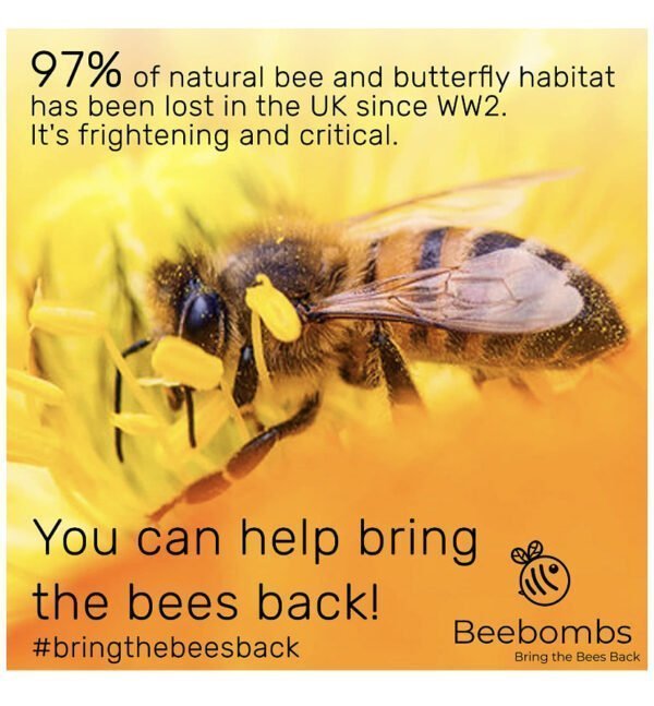 Save our bees